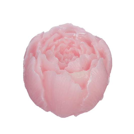 Amber Blokje Pink Roses