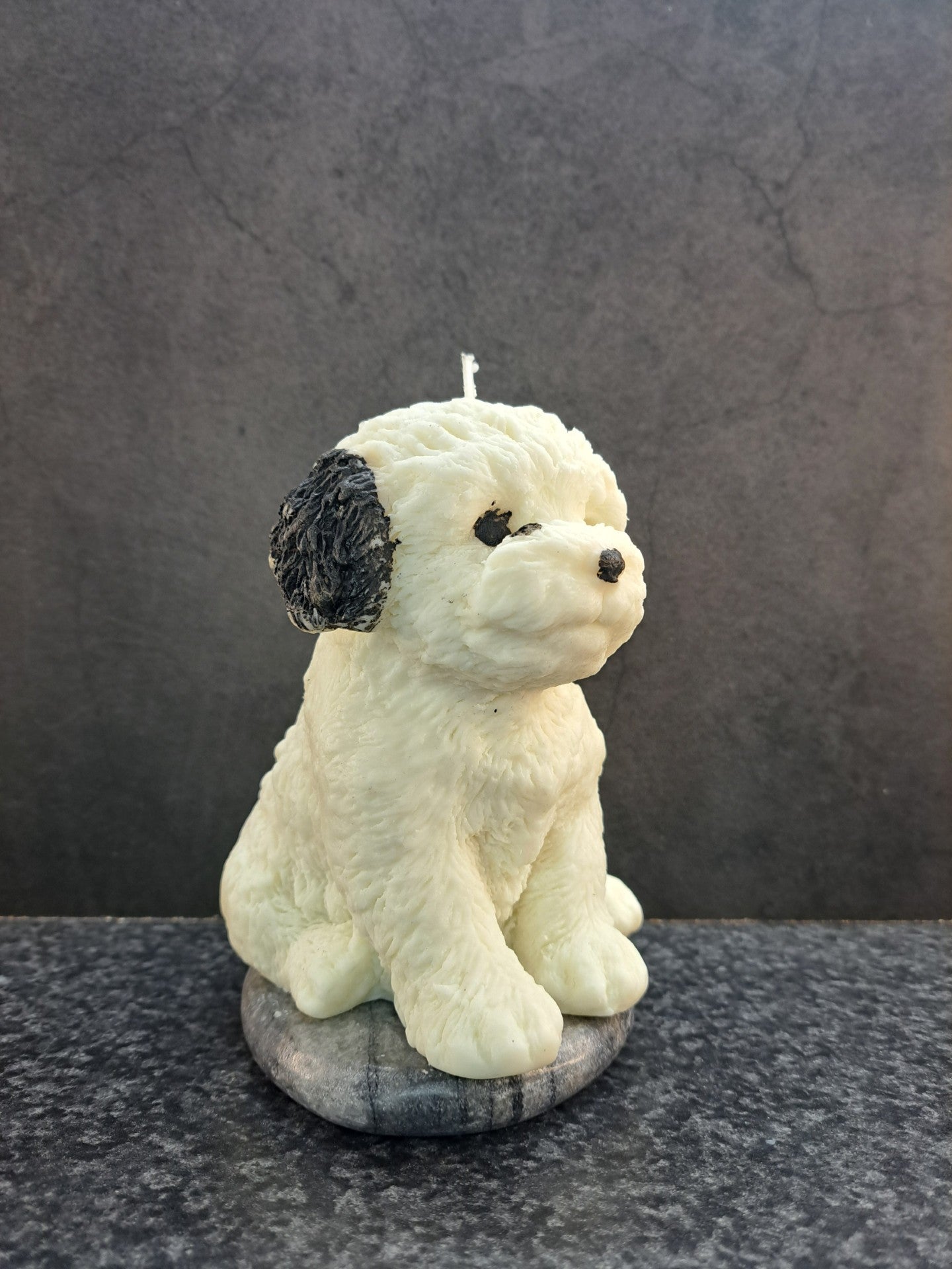 Hond met zwarte vlekken