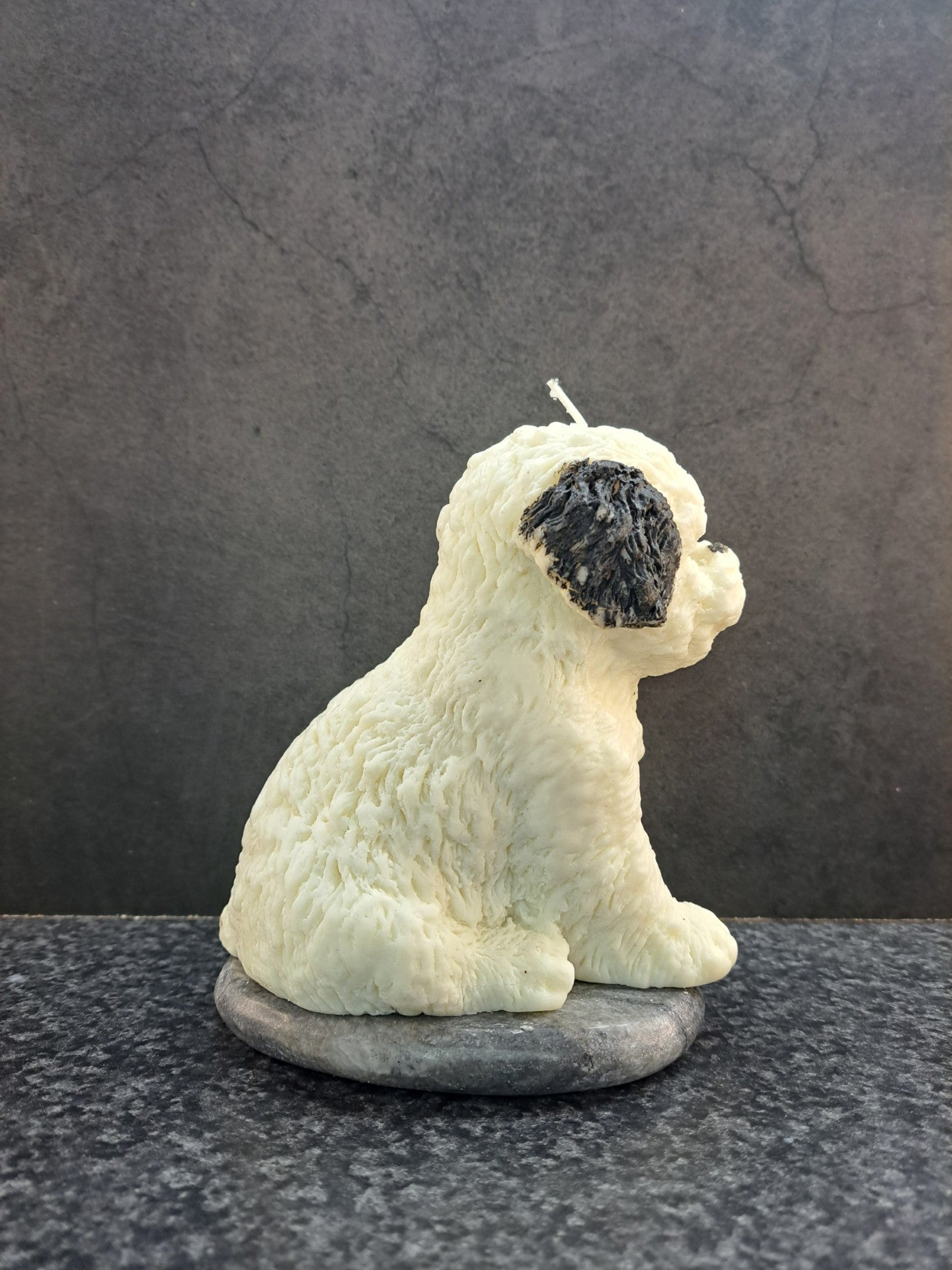 Hond met zwarte vlekken