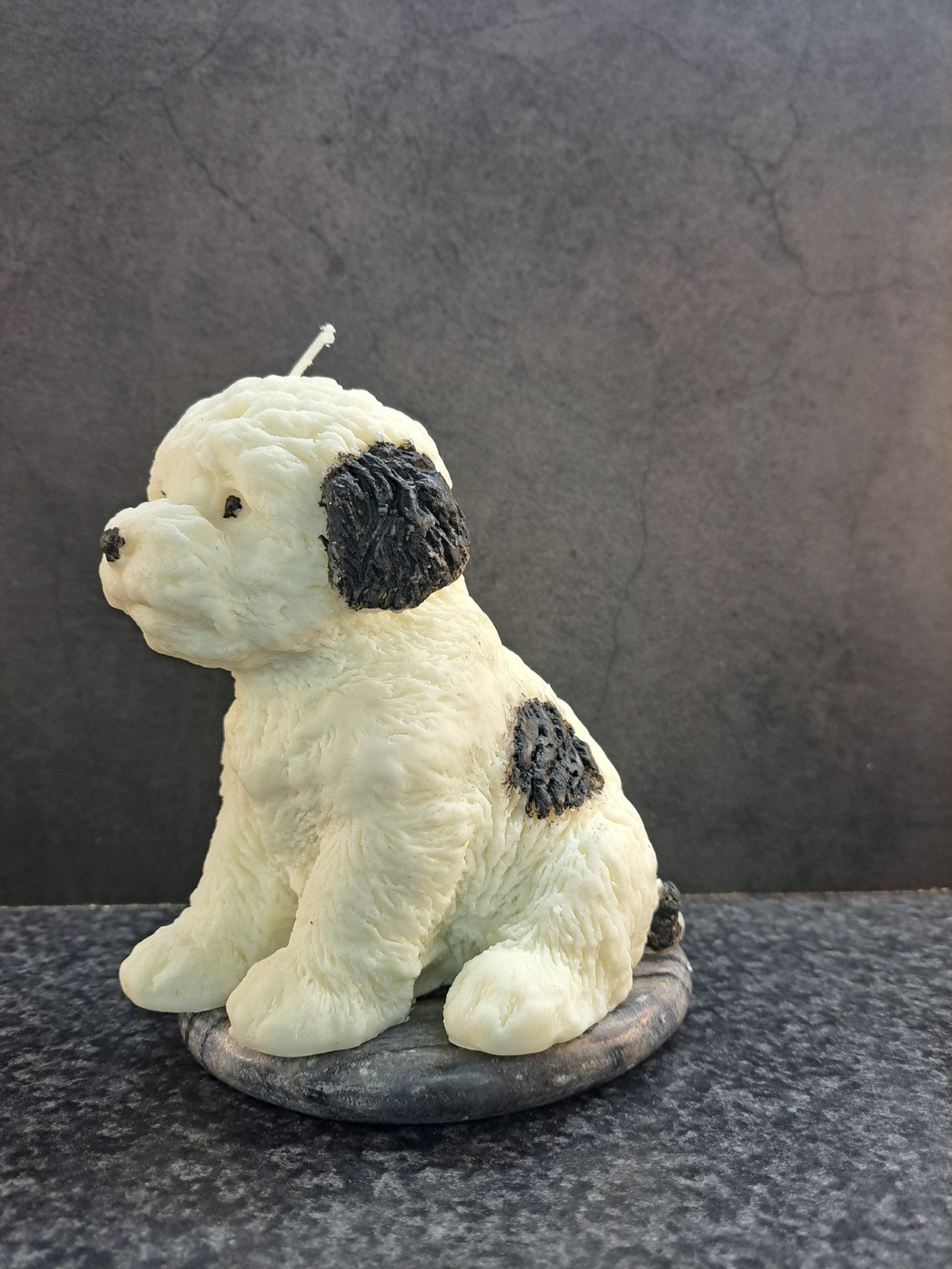 Hond met zwarte vlekken