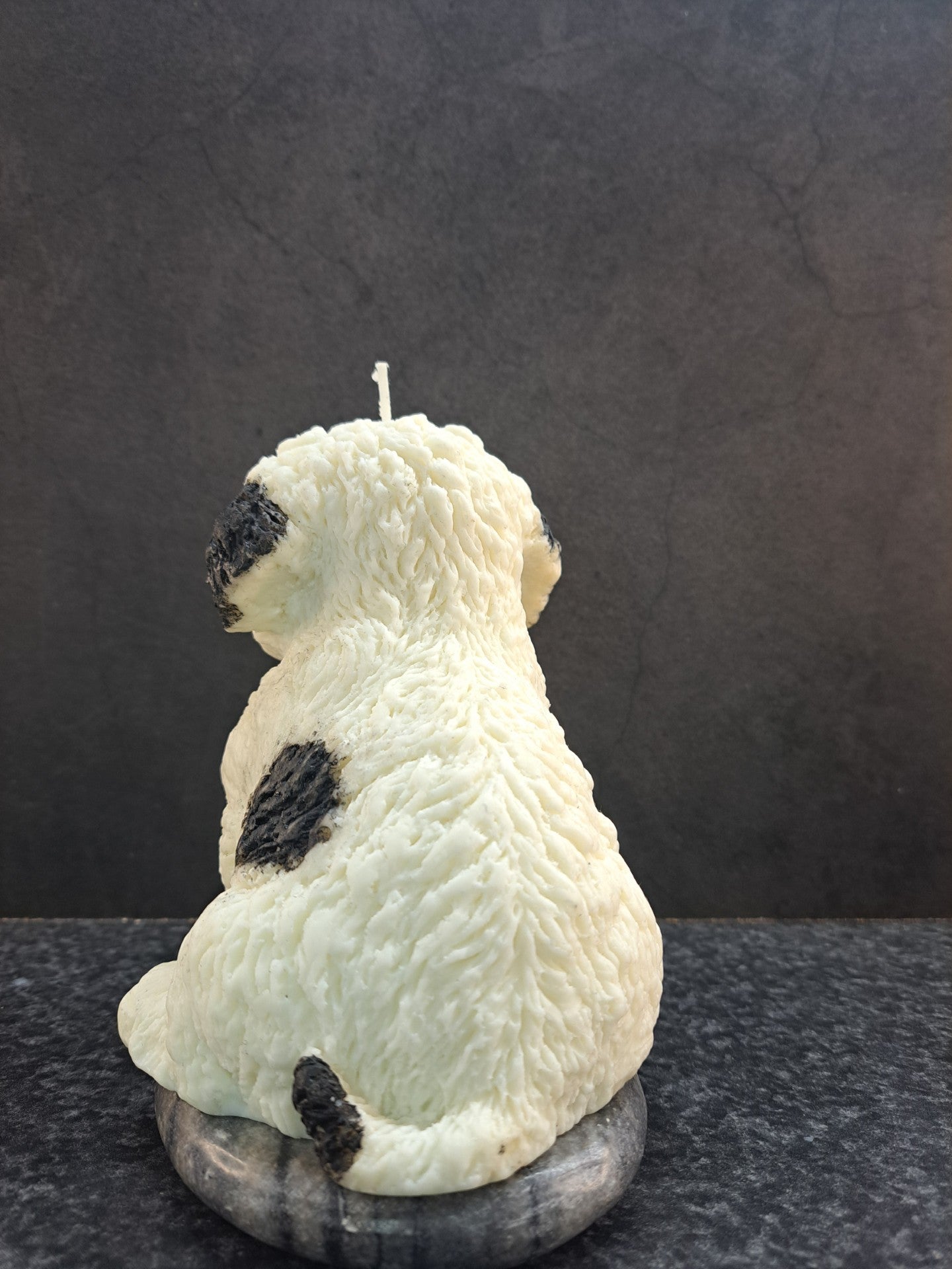 Hond met zwarte vlekken