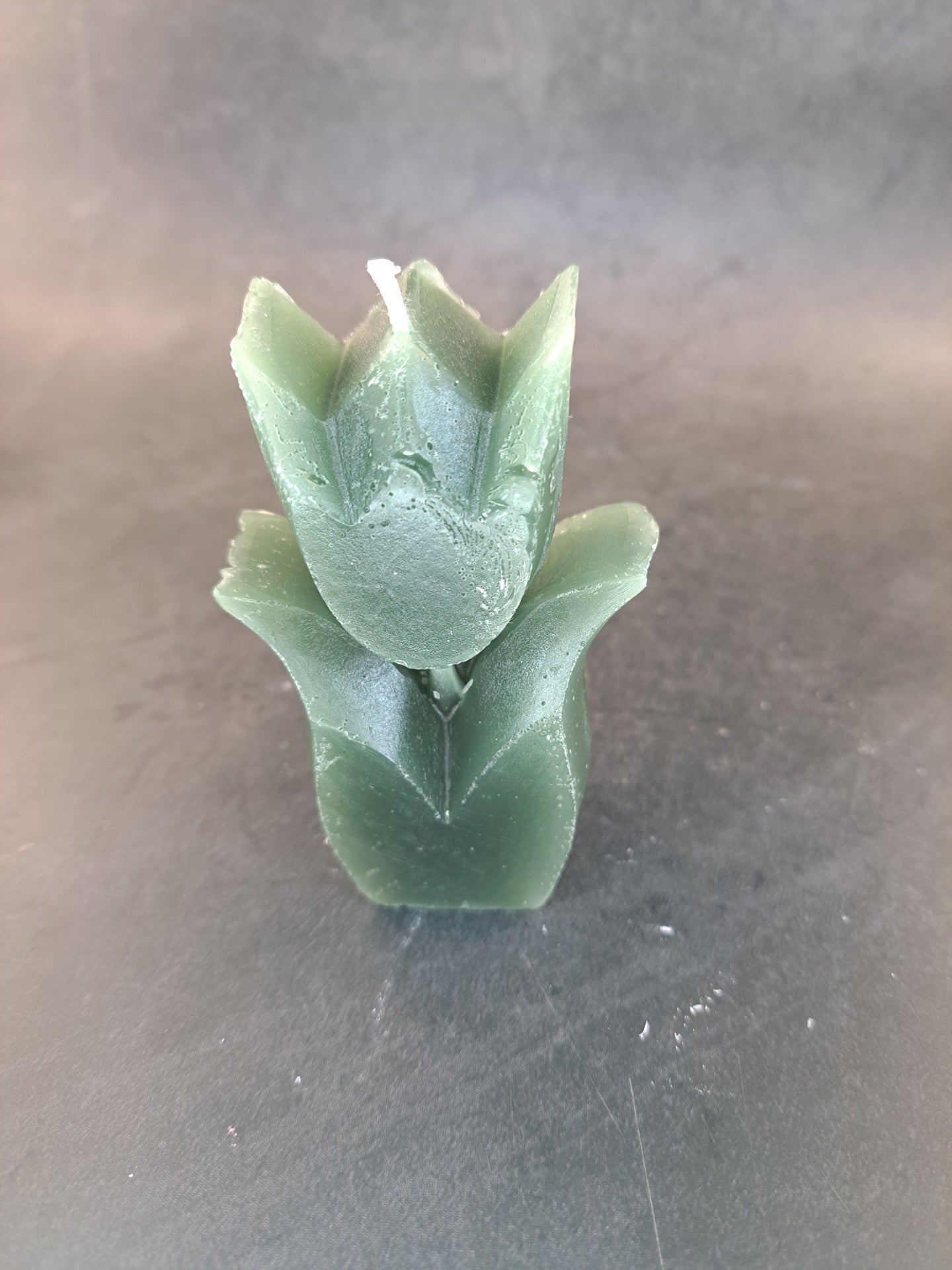 Tulpen
