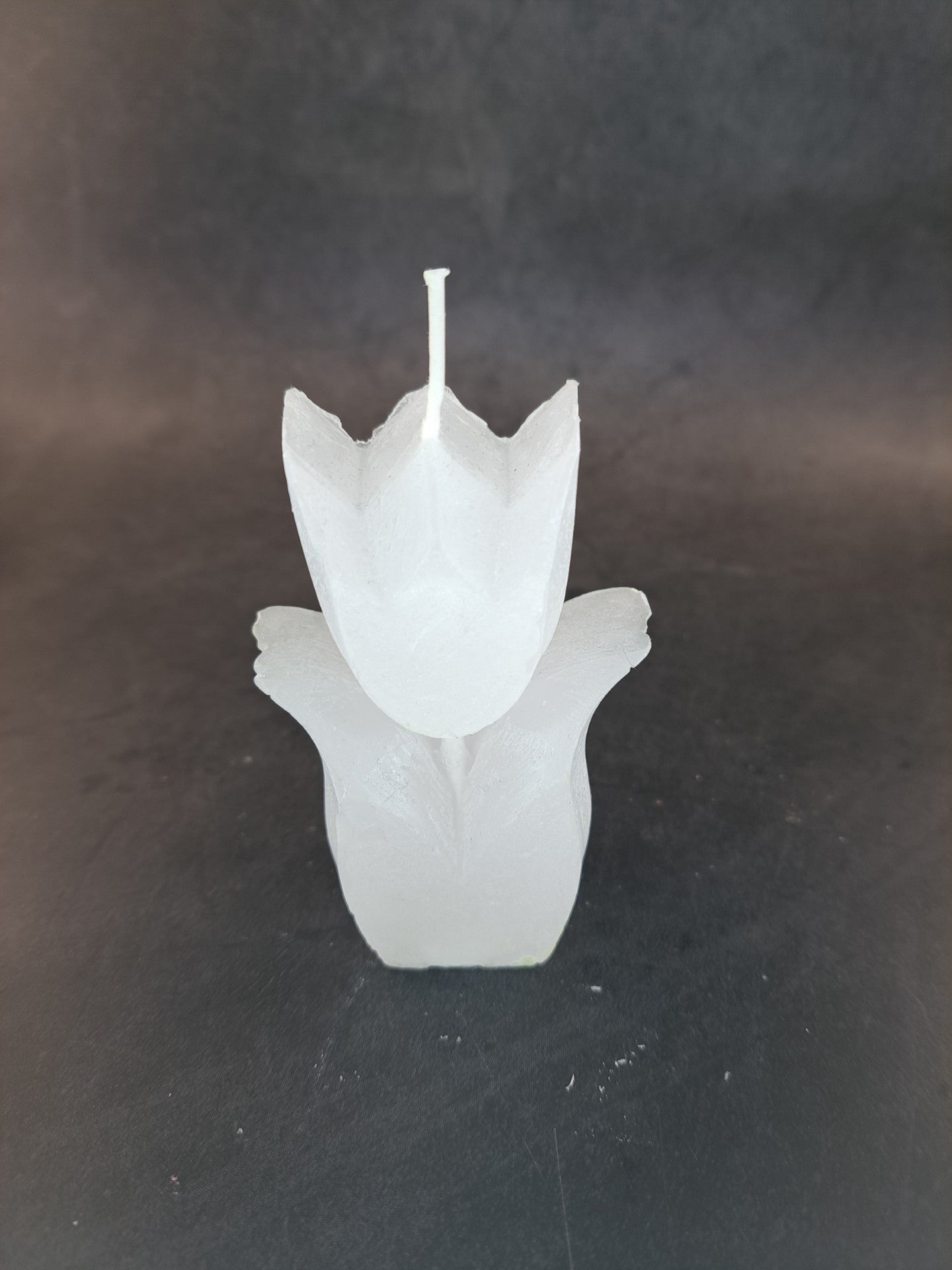 Tulpen