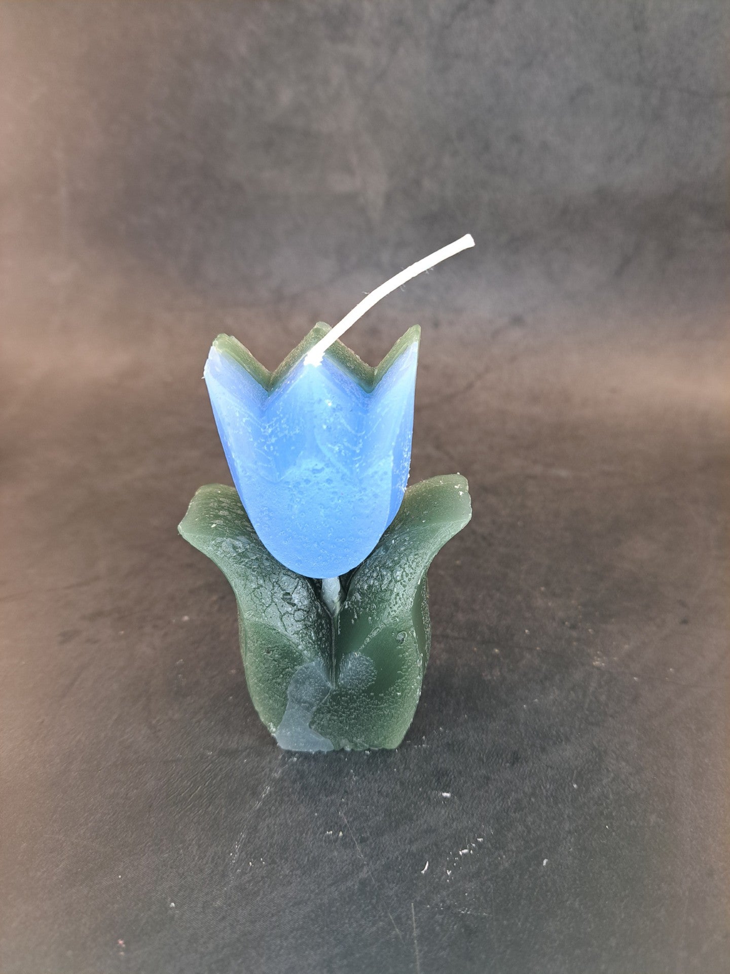 Tulpen