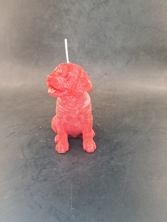 Hond 2