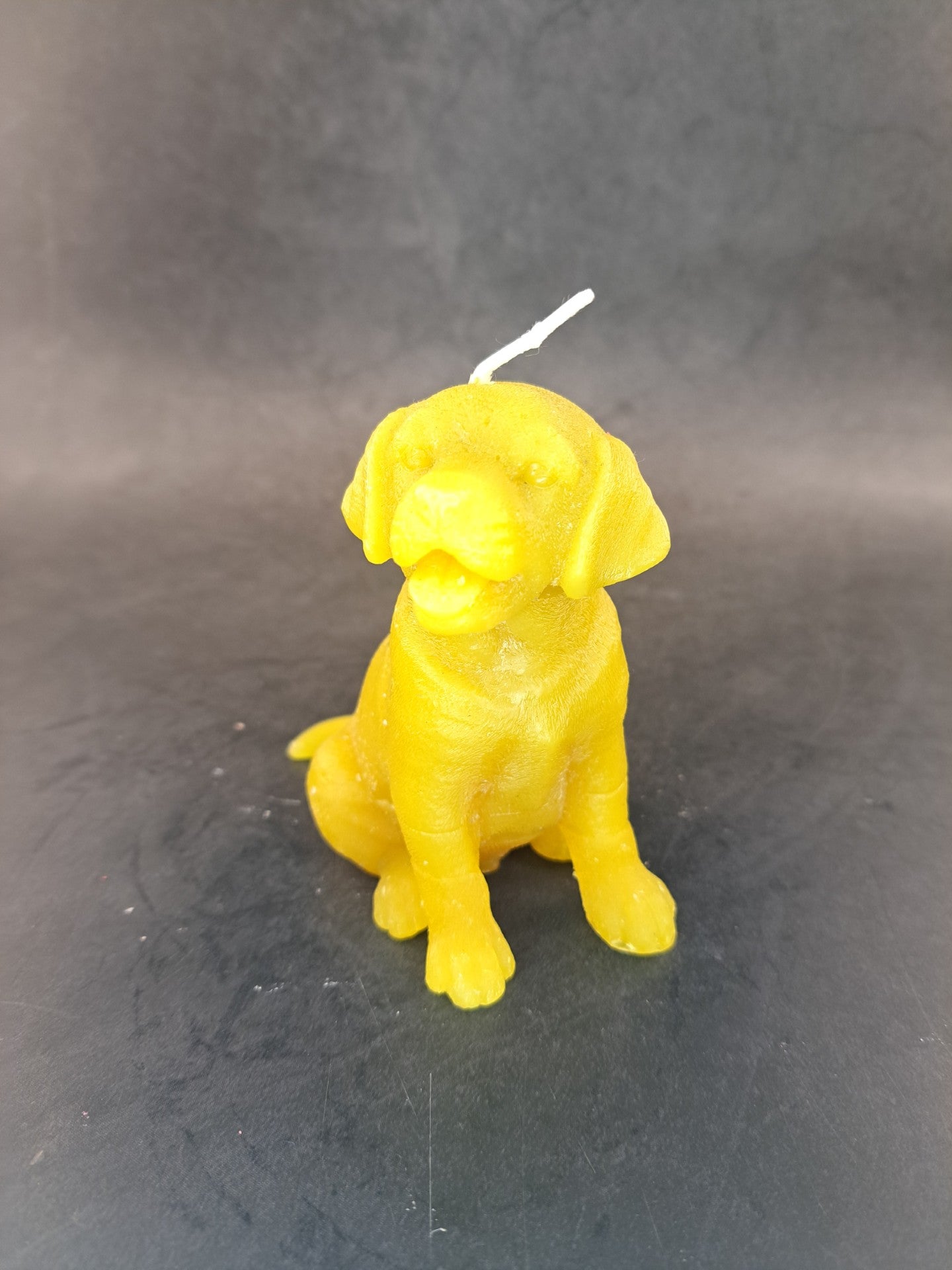 Hond 2
