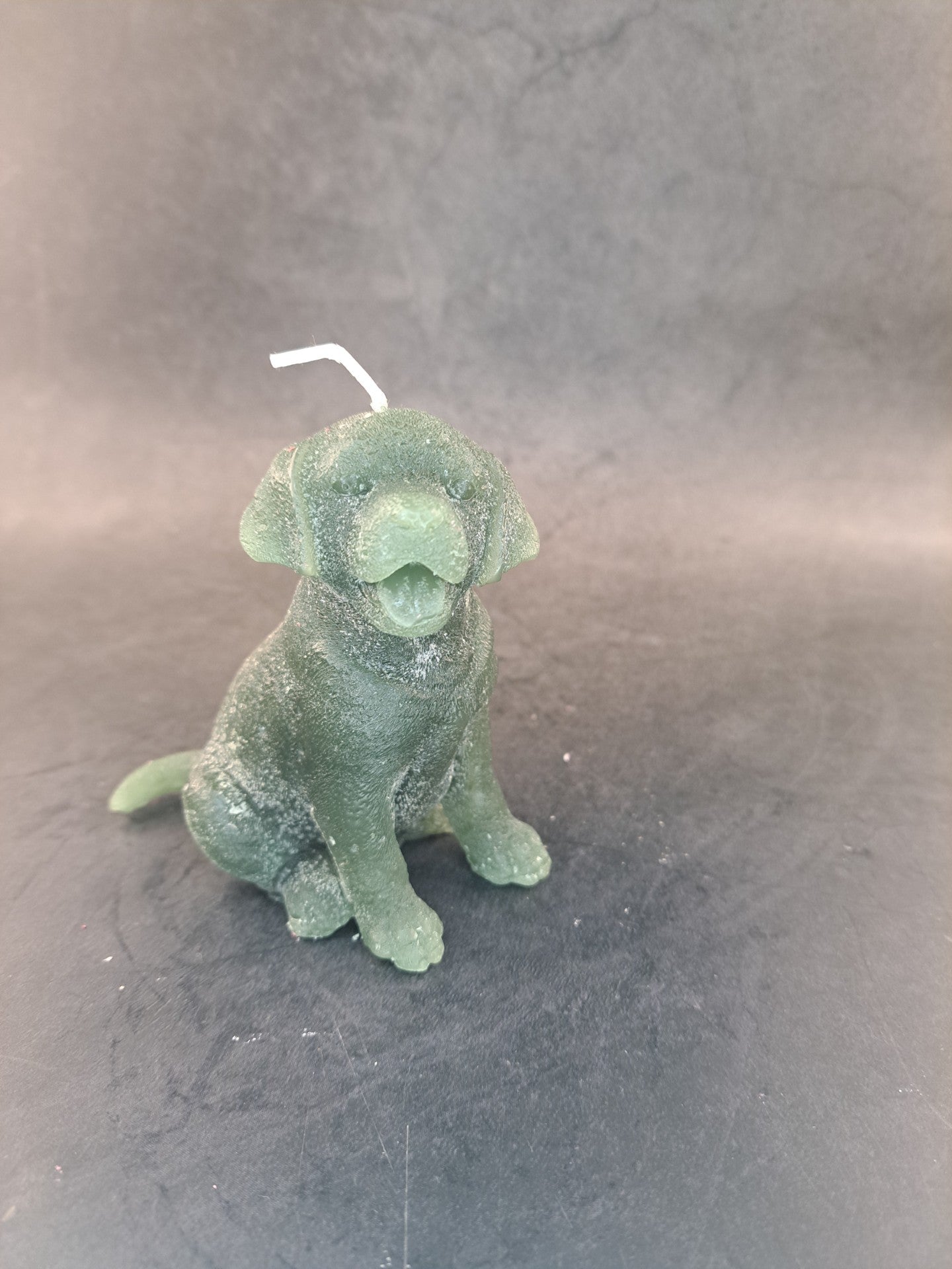 Hond 2