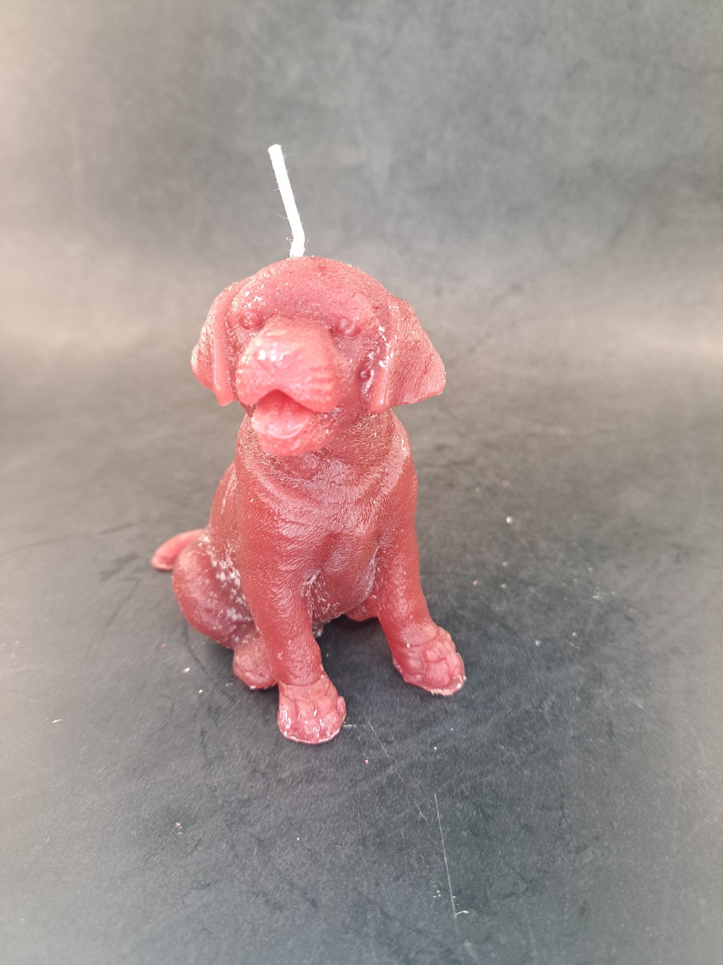 Hond 2
