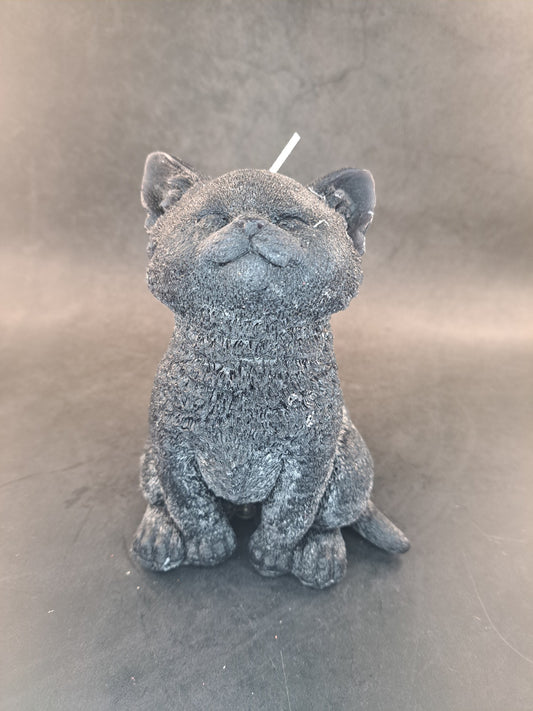 Zwate kat