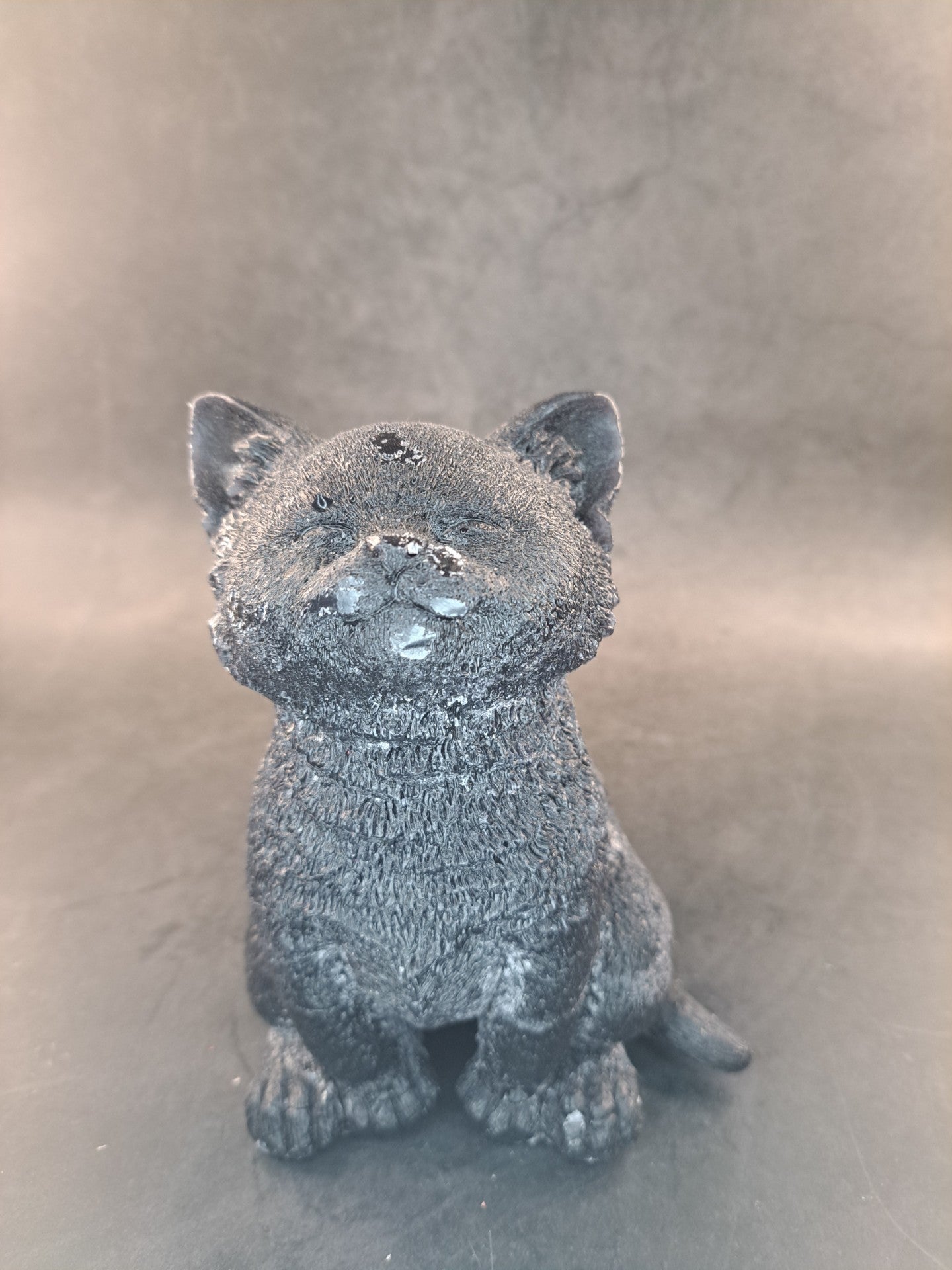 Zwate kat
