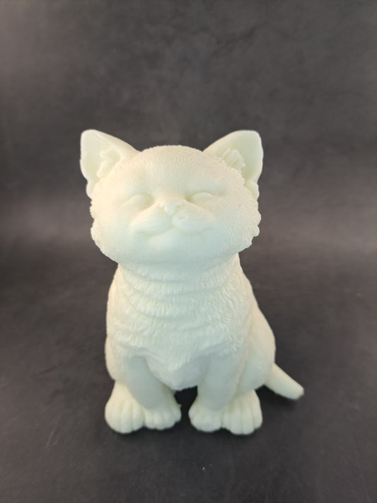 Witte kat