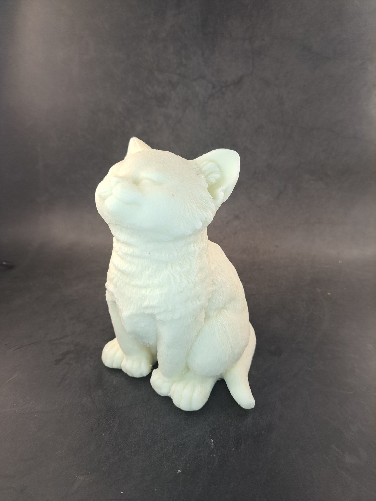 Witte kat