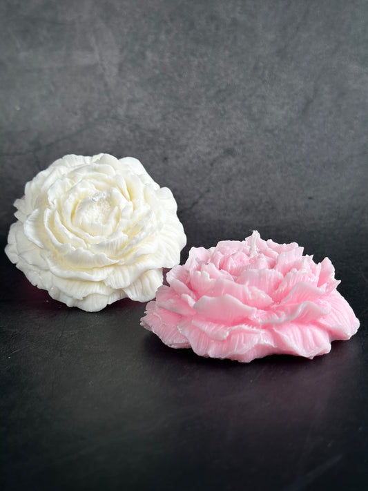 Pretty Peony