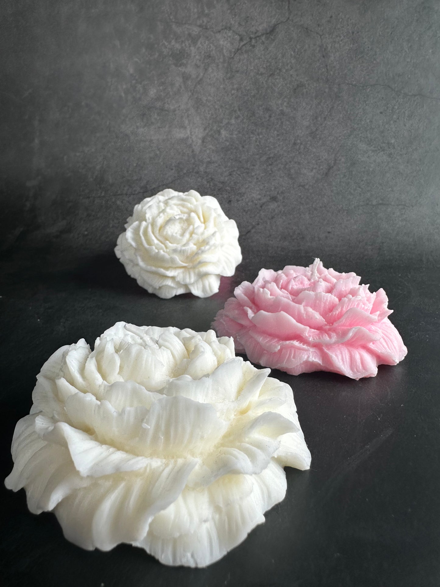 Pretty Peony