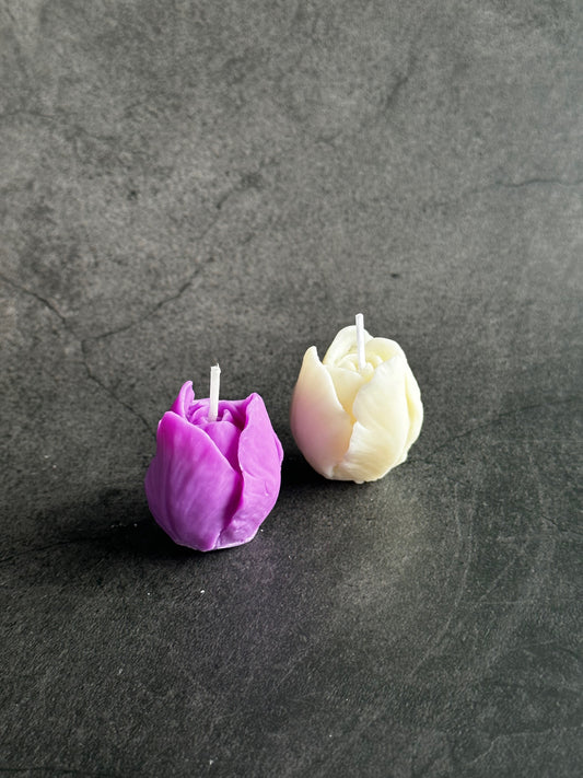 Spring Tulip