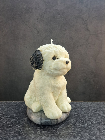 Hond met zwarte vlekken