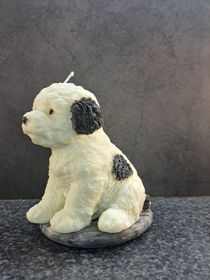 Hond met zwarte vlekken