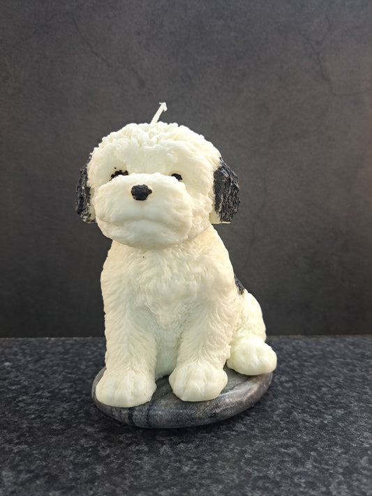 Hond met zwarte vlekken