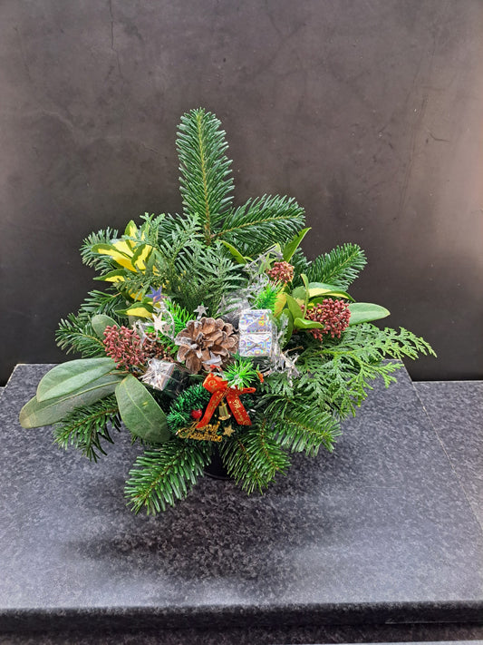 KerststuKlein in Zwart Bikje