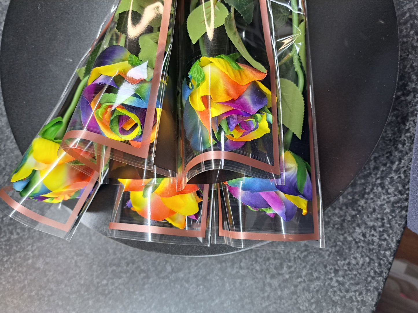 regenboog zijnde roos
