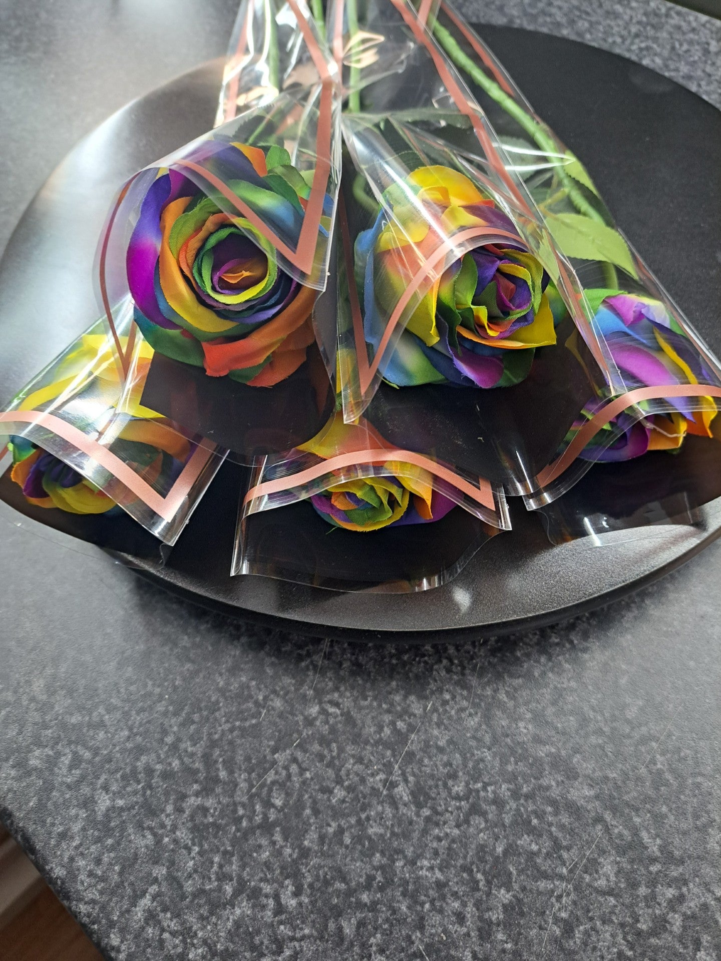 regenboog zijnde roos