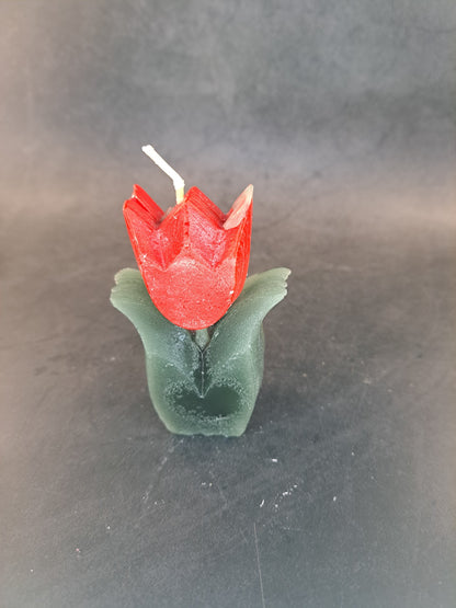 Tulpen